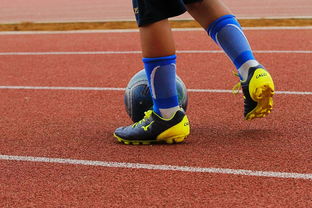 爱游戏娱乐网址-CBA新赛季全面开打各队实力全面升级，cba新赛季有哪些球队